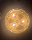 Blessed Intention Candle